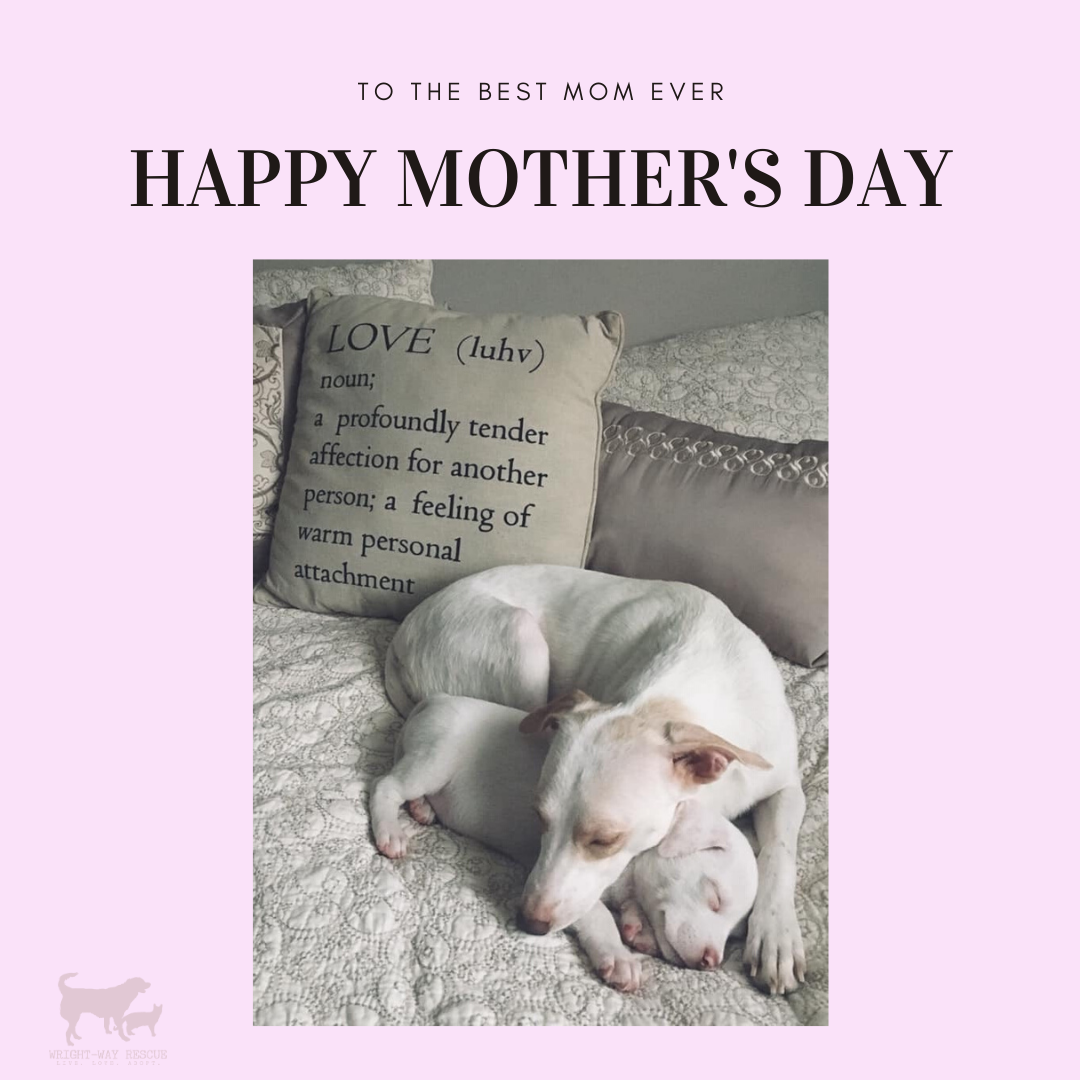 Send a Mother's Day eCard  eCards