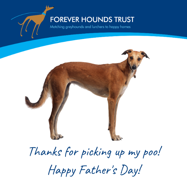 Send a Father's Day card eCards