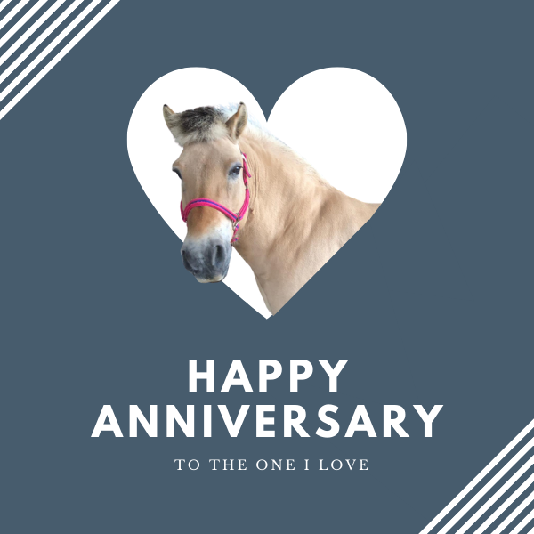 Send Anniversary e-cards eCards