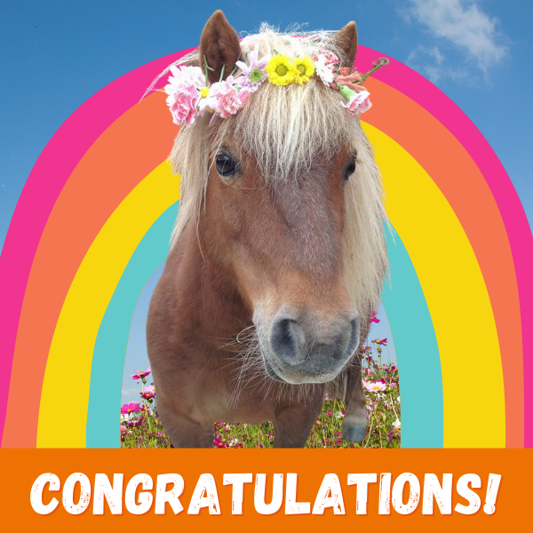 Send congratulations e-cards eCards