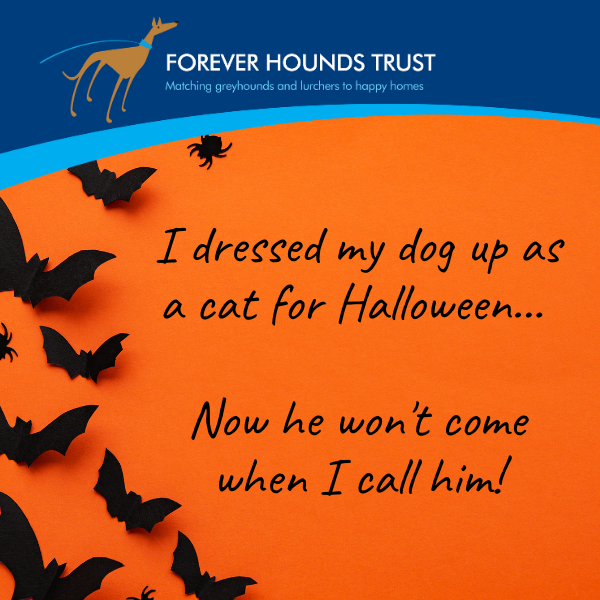 Halloween eCards