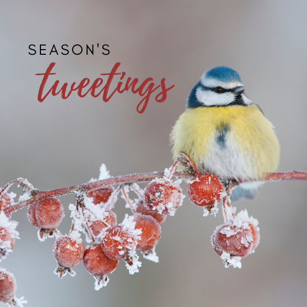 Send Corporate Christmas E-Cards eCards