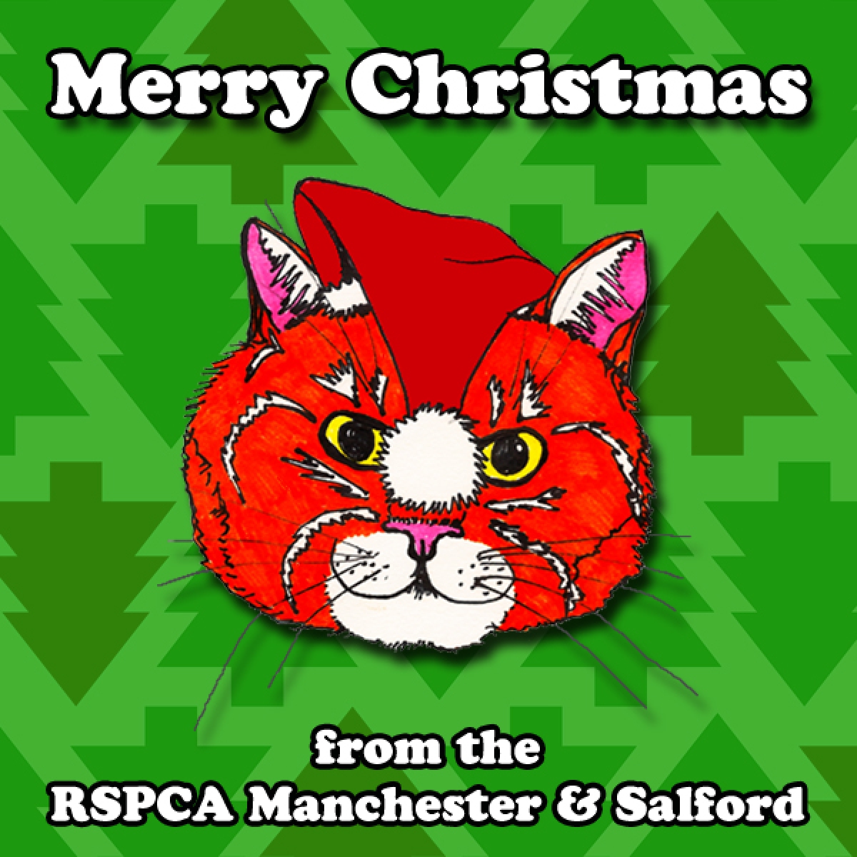 RSPCA Christmas Card eCards