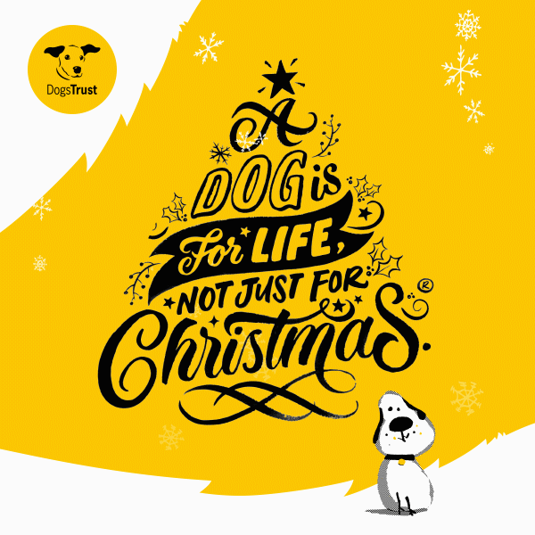 Dogs trust christmas cards deals