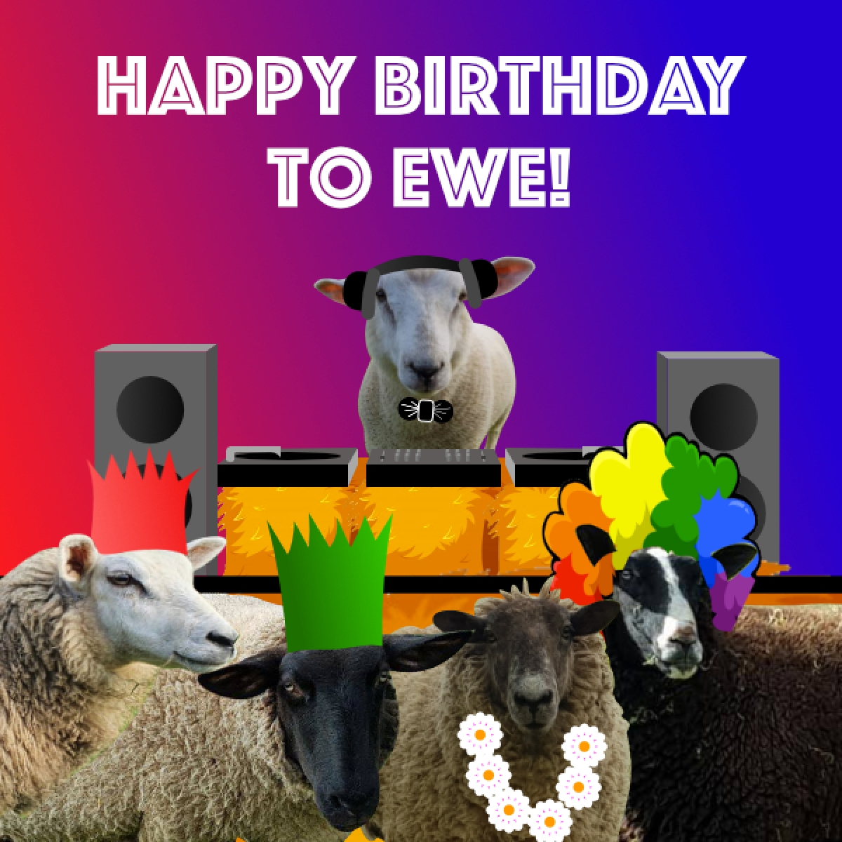 Send a Happy Birthday To Ewe E-card eCards