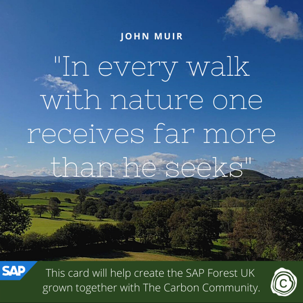Send Inspirational eCards supporting SAP Forest UK in partnership with The Carbon Community eCards