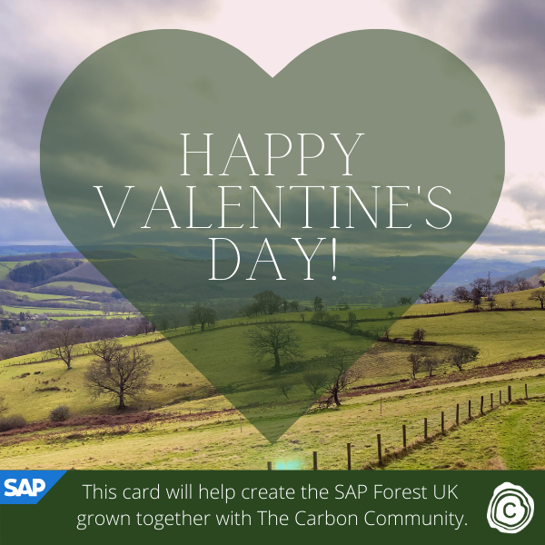 Send Valentine's Day eCards supporting SAP Forest UK in partnership with The Carbon Community eCards
