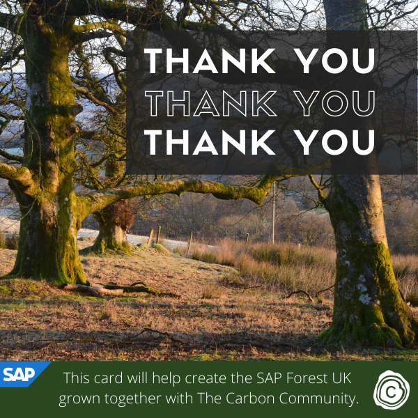 Send Thank You eCards supporting SAP Forest UK in partnership with The Carbon Community eCards