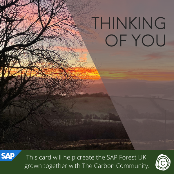 Send 'Thinking of you' eCards supporting SAP Forest UK in partnership with The Carbon Community eCards