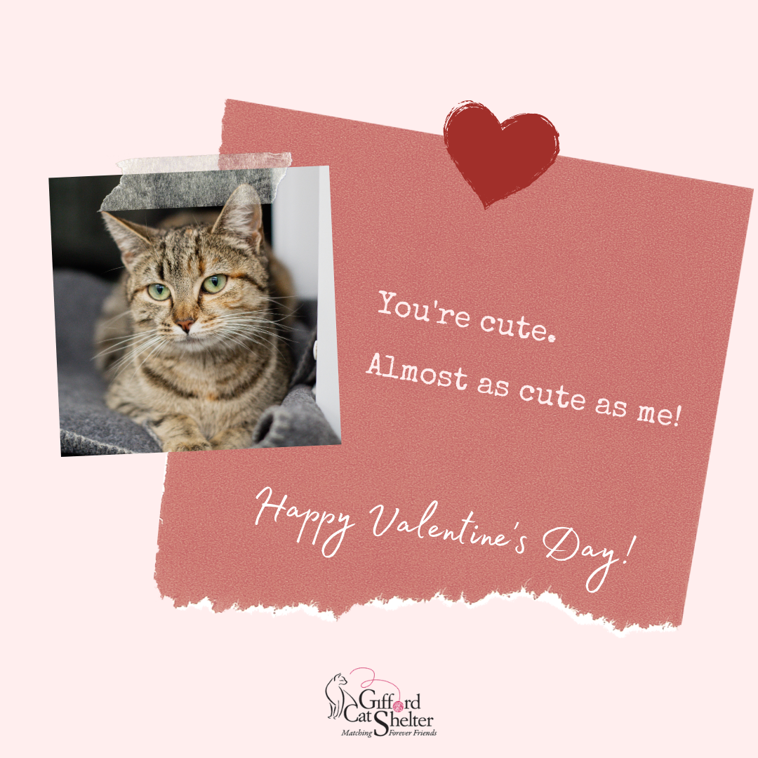 Send a Valentine's Day Card! eCards