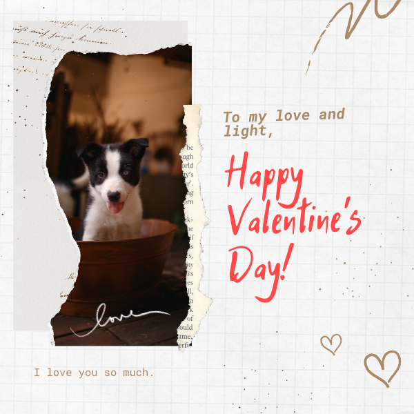 Send a Valentine's Day E-Card eCards