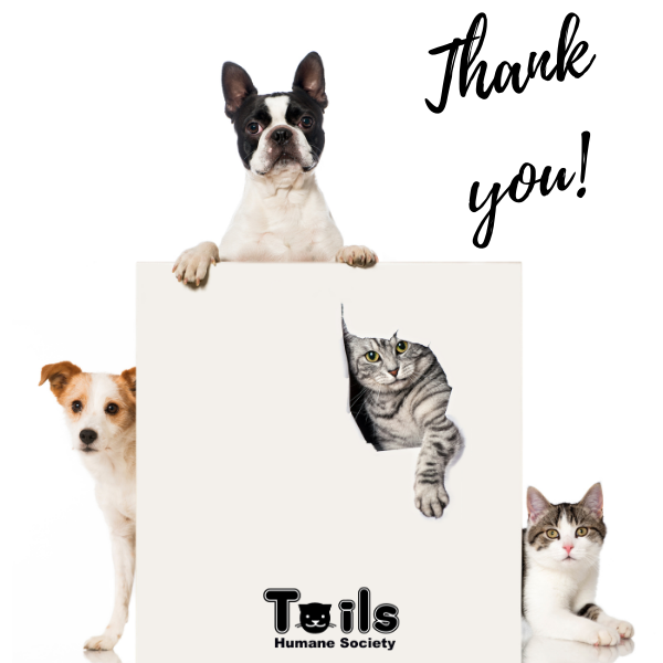 Support Shelter Pets with a Thank You E-Card eCards