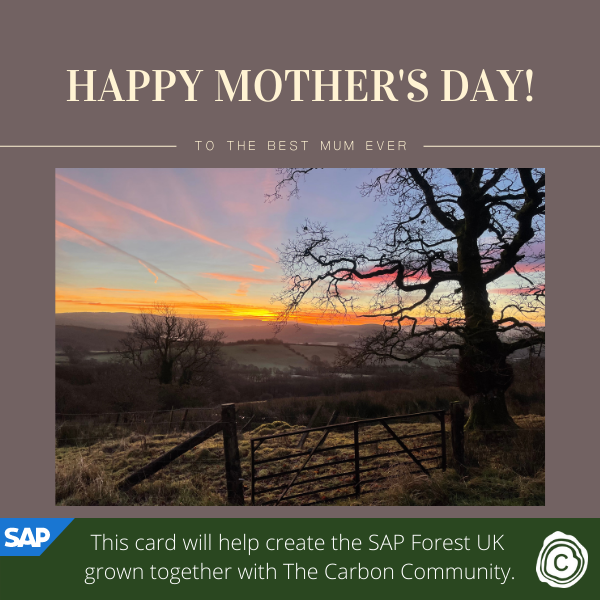 Send a Mother's Day eCard supporting SAP Forest UK in partnership with The Carbon Community eCards