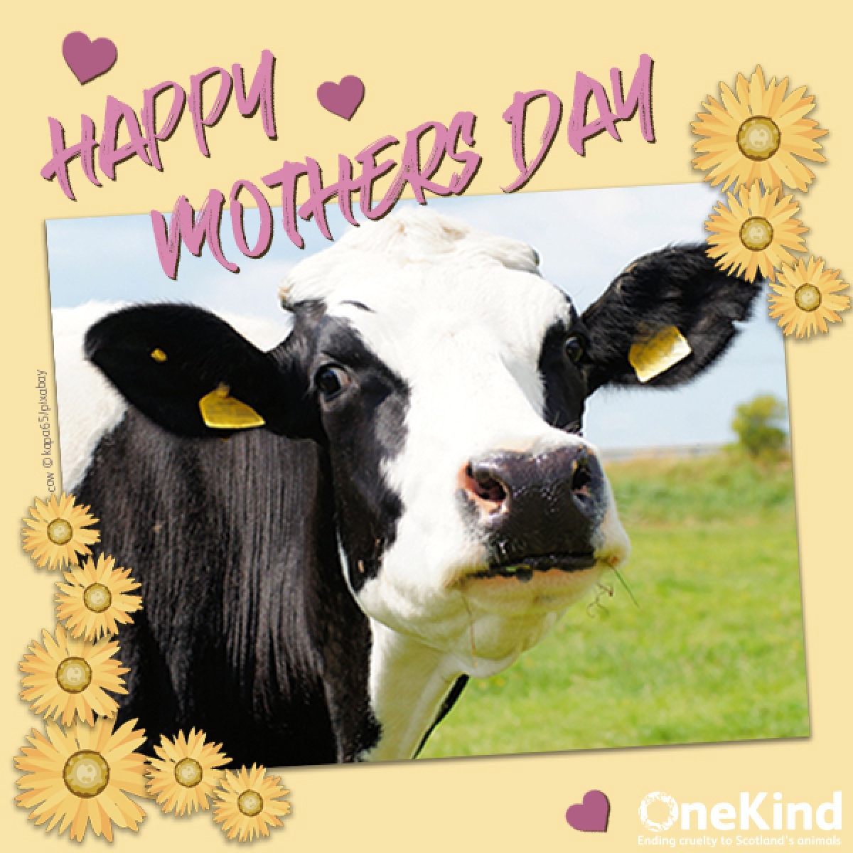 Send Mother's Day E-cards eCards
