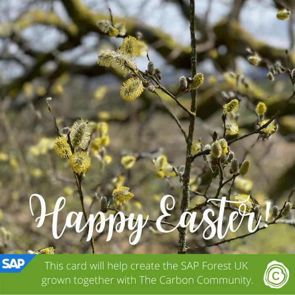 Send an Easter eCard supporting SAP Forest UK in partnership with The Carbon Community eCards