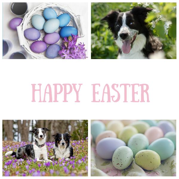 Send Easter E-Cards eCards