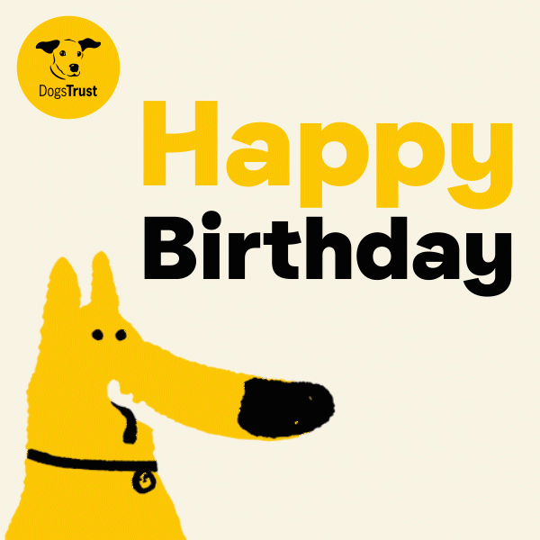 Funny Dog birthday ecard