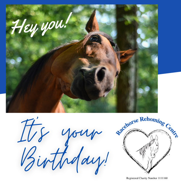 Send a Birthday E-Card eCards