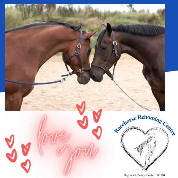 Send a Valentine's Day E-Card eCards