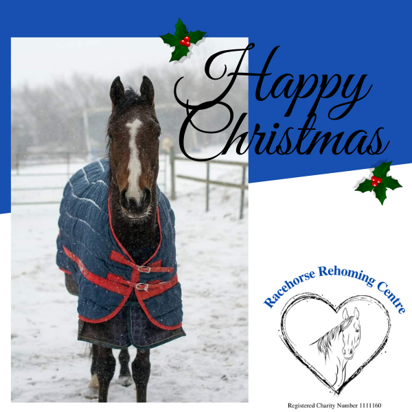 Send Christmas E-Cards eCards