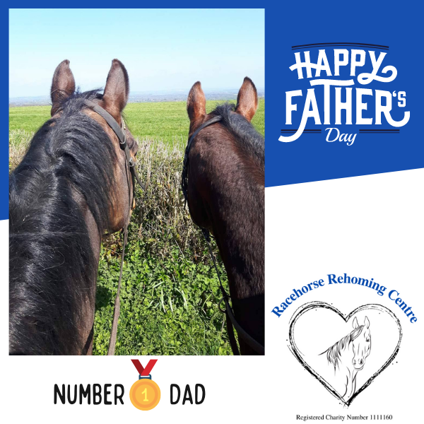 Send a Father's Day E-Card eCards