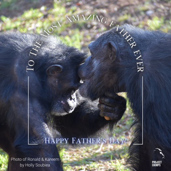 Father's Day E-Card eCards