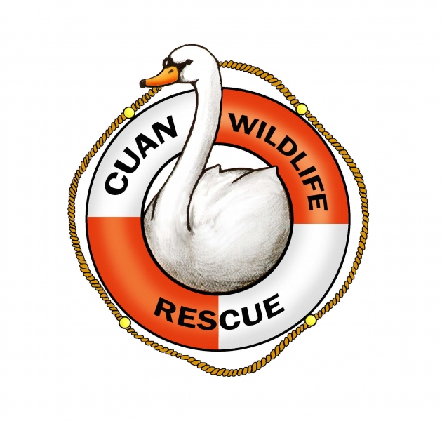 Cuan Wildlife Rescue eCards