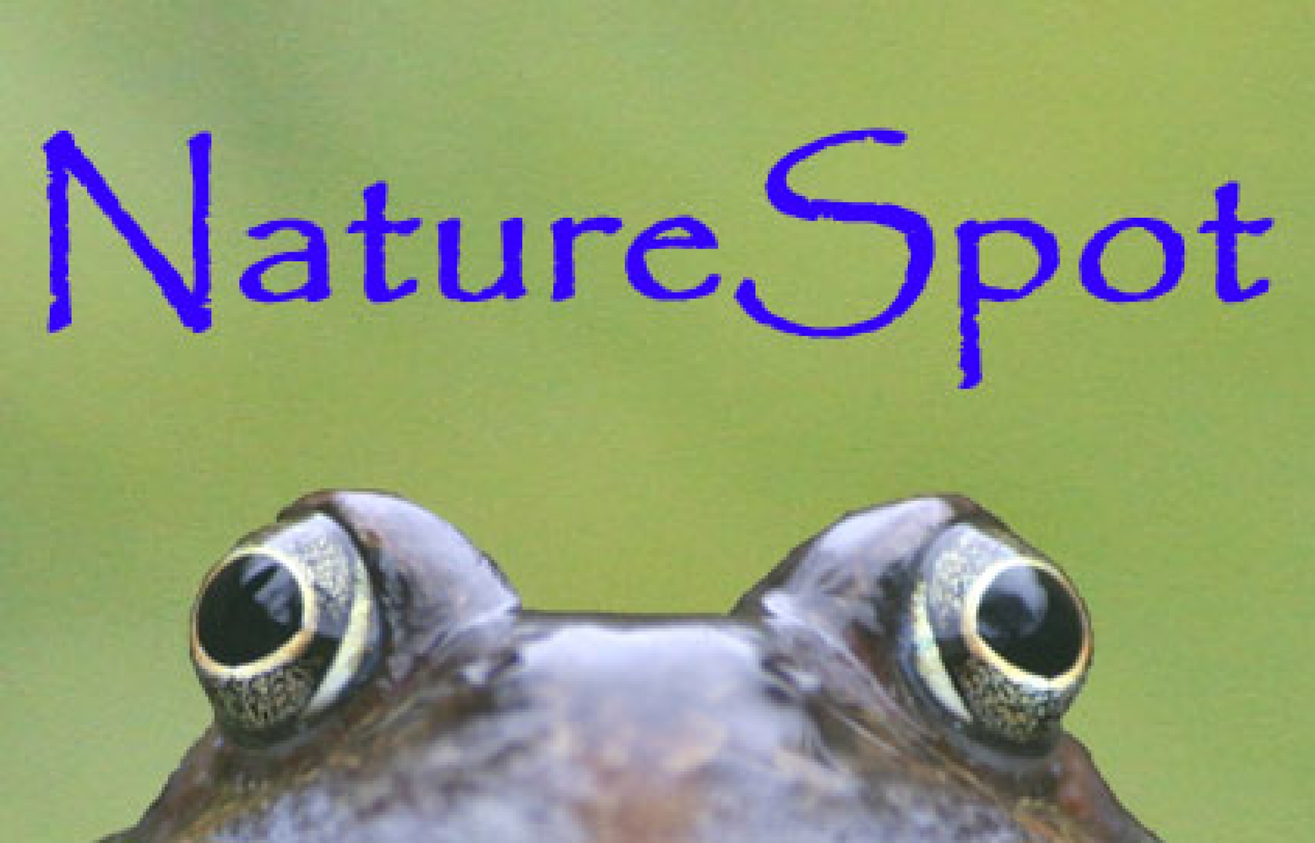 NatureSpot eCards
