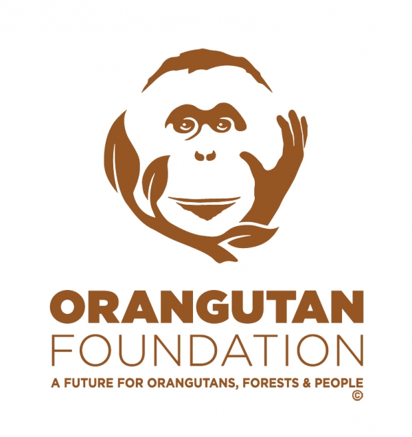 Orangutan Foundation eCards