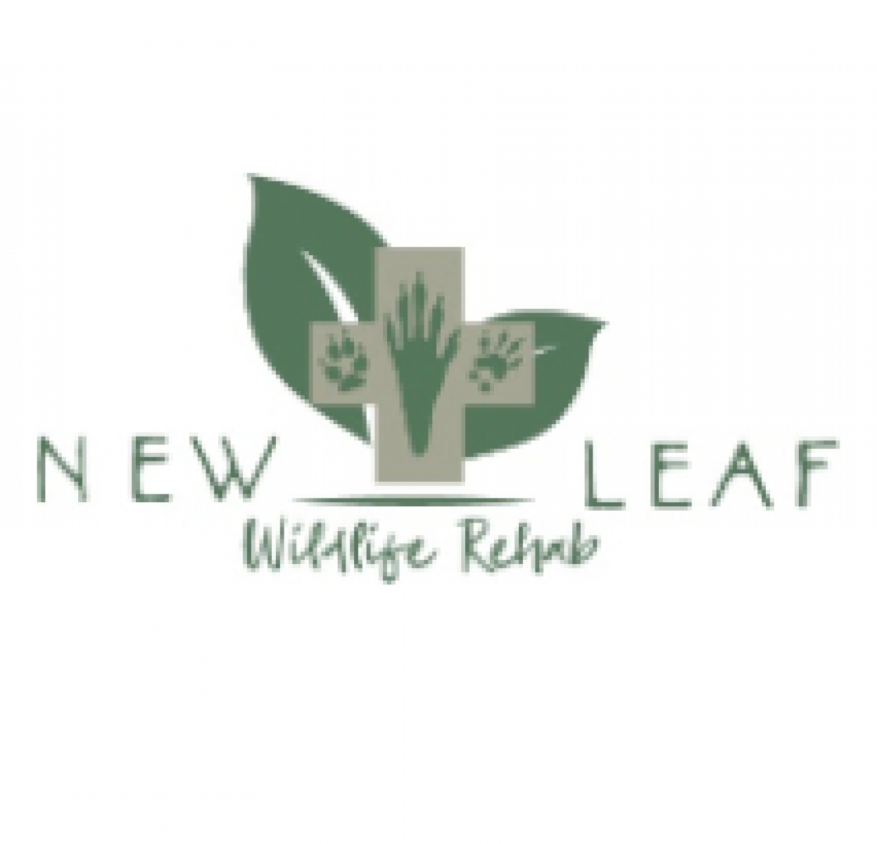 New Leaf Wildlife Rehab eCards