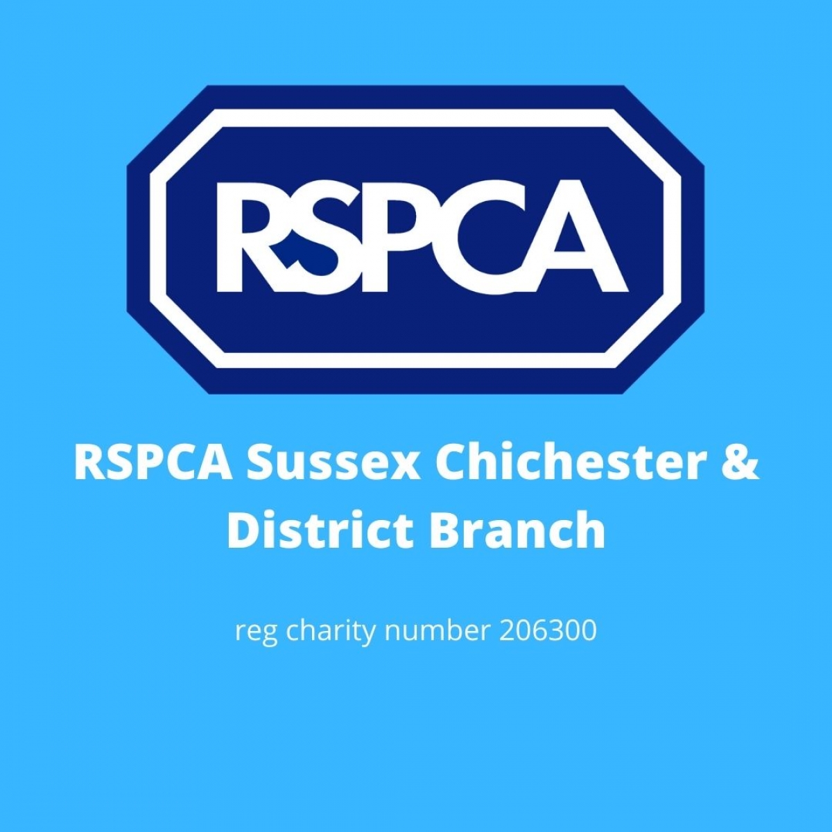 RSPCA Sussex Chichester and District Branch eCards