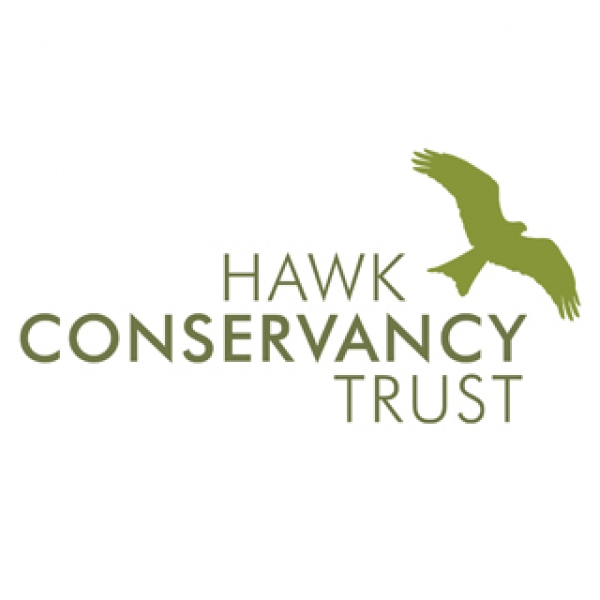 Hawk Conservancy Trust eCards
