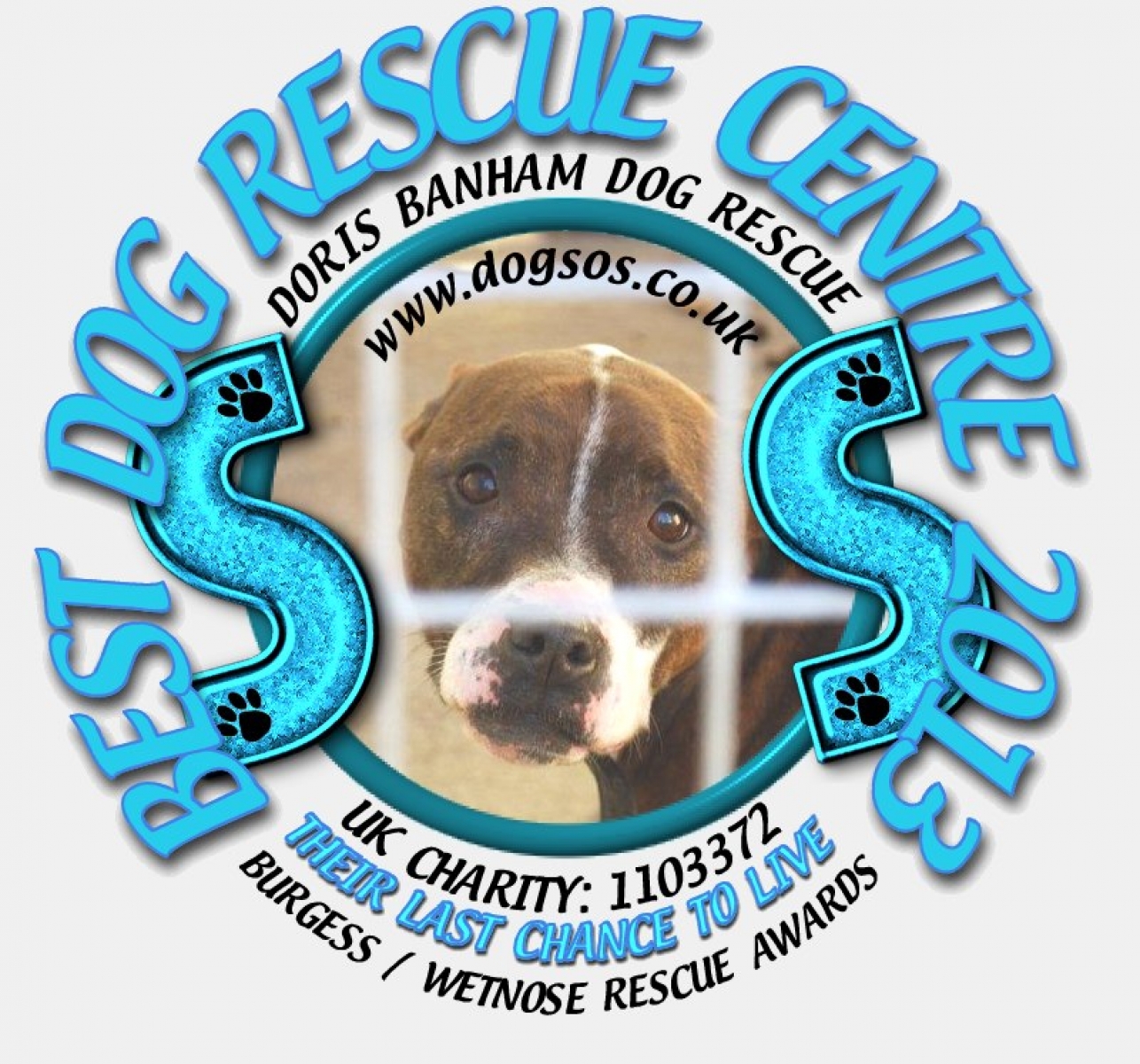 Doris Banham Dog Rescue eCards