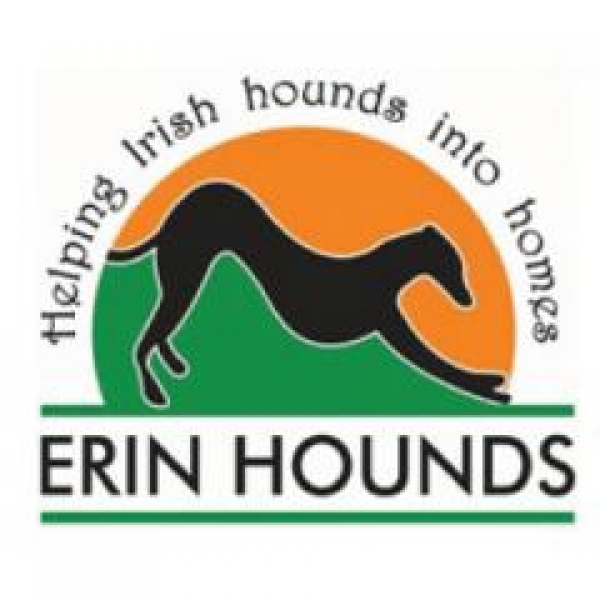 Erin Hounds eCards