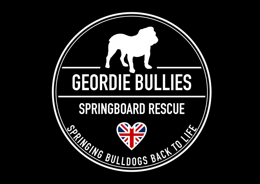 Geordie Bullies Springboard rescue eCards