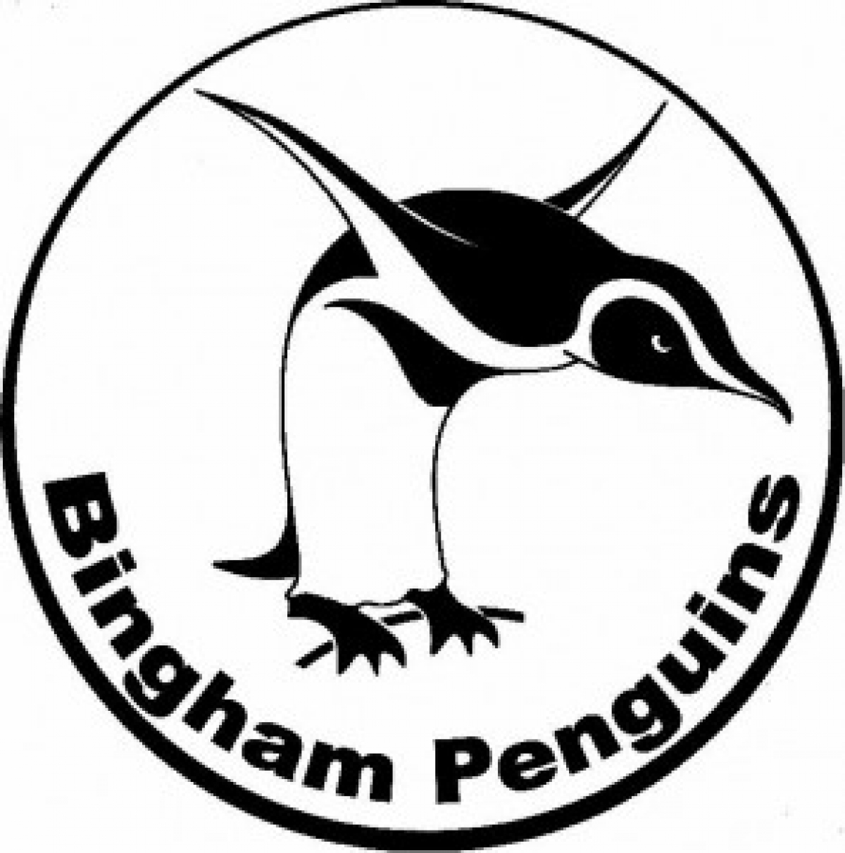 Bingham Penguins Swimming Club eCards
