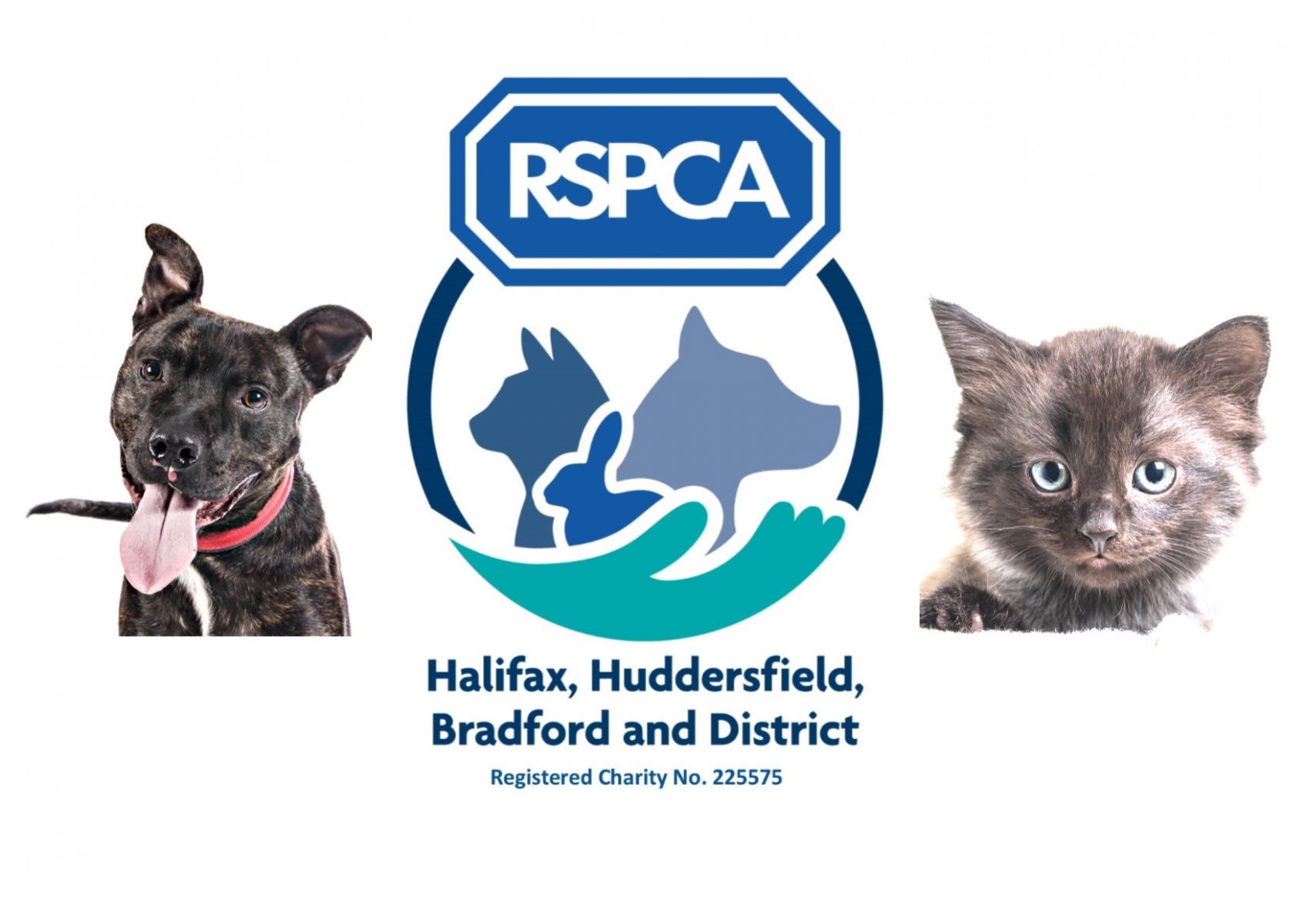 RSPCA Halifax, Huddersfield, Bradford & District Branch eCards