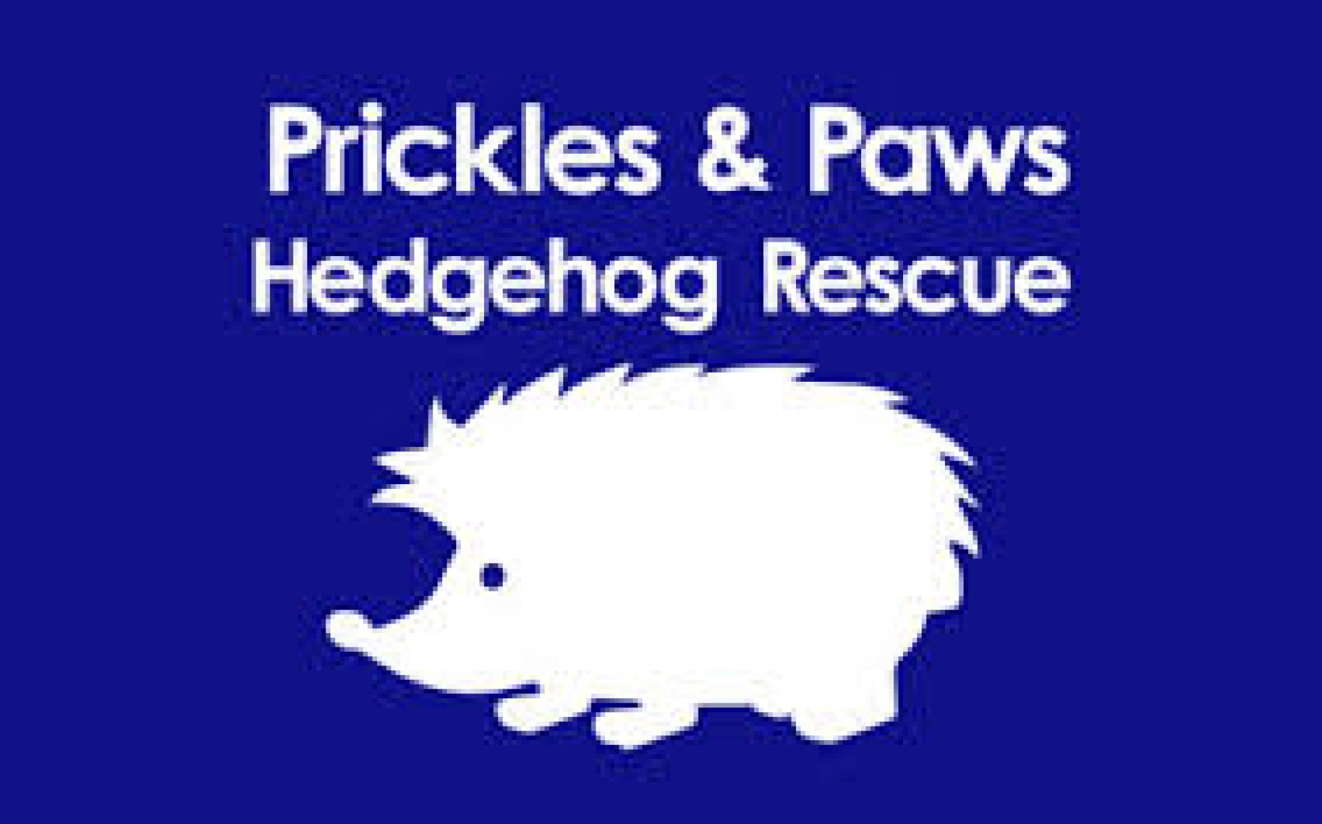 Prickles and Paws Hedgehog Rescue eCards
