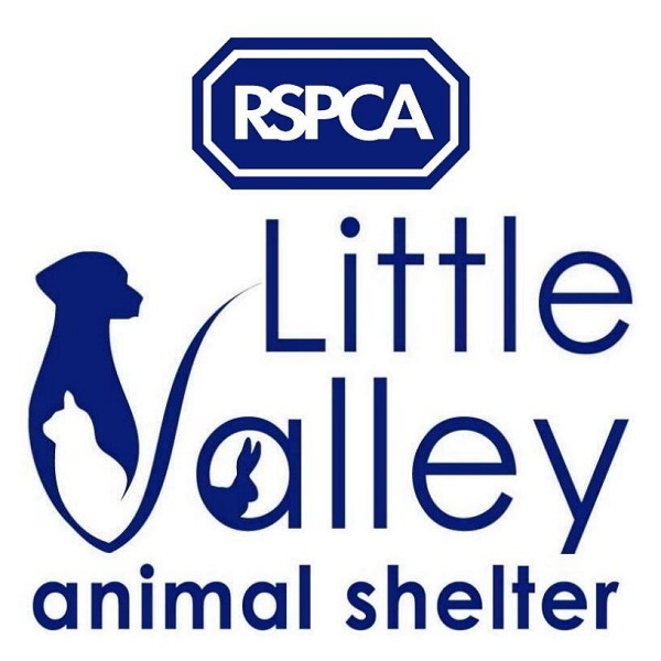 RSPCA Little Valley Animal Shelter eCards