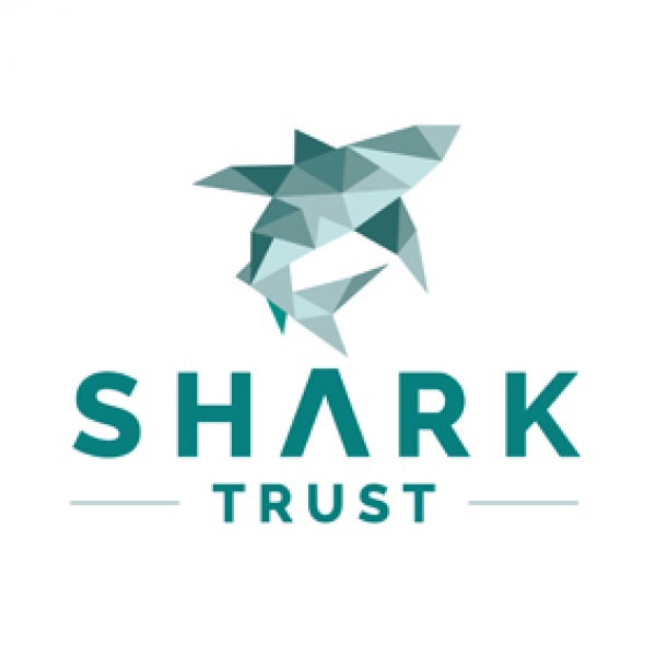 Shark Trust eCards
