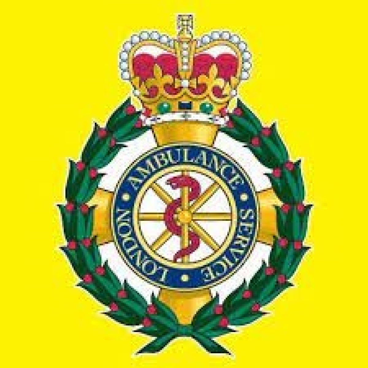 London Ambulance Service Charitable Fund eCards