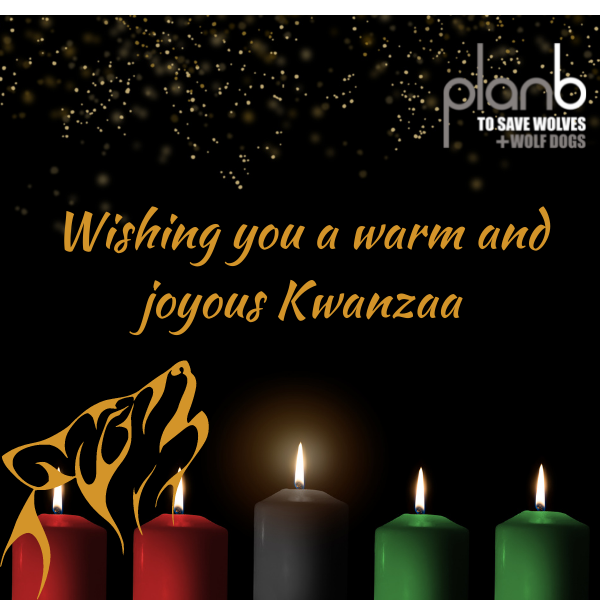 Kwanzaa  eCards