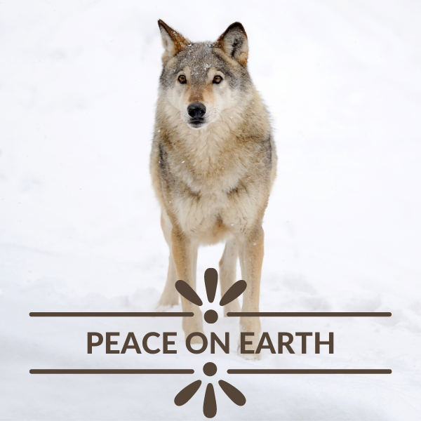 Love, Peace, Joy this Holiday Season eCards