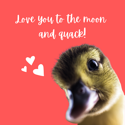 Send a Valentine's Day E-Card eCards