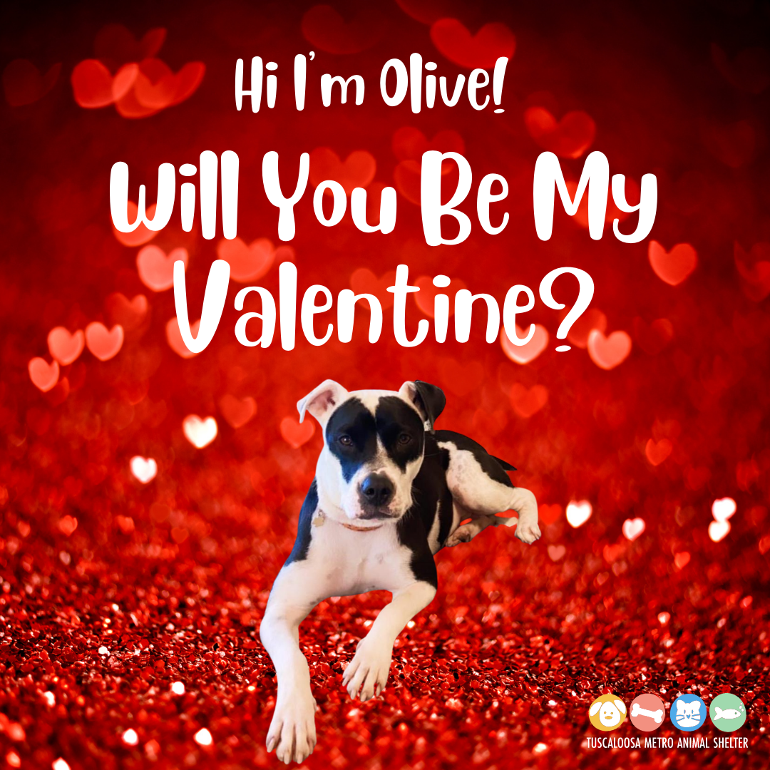 Valentine's Day eCards