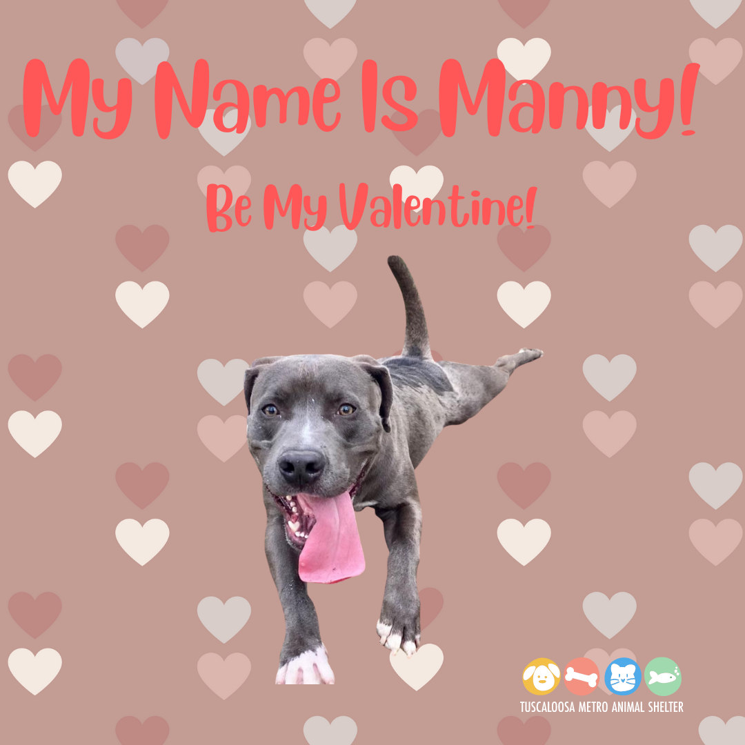 Valentines Day eCards