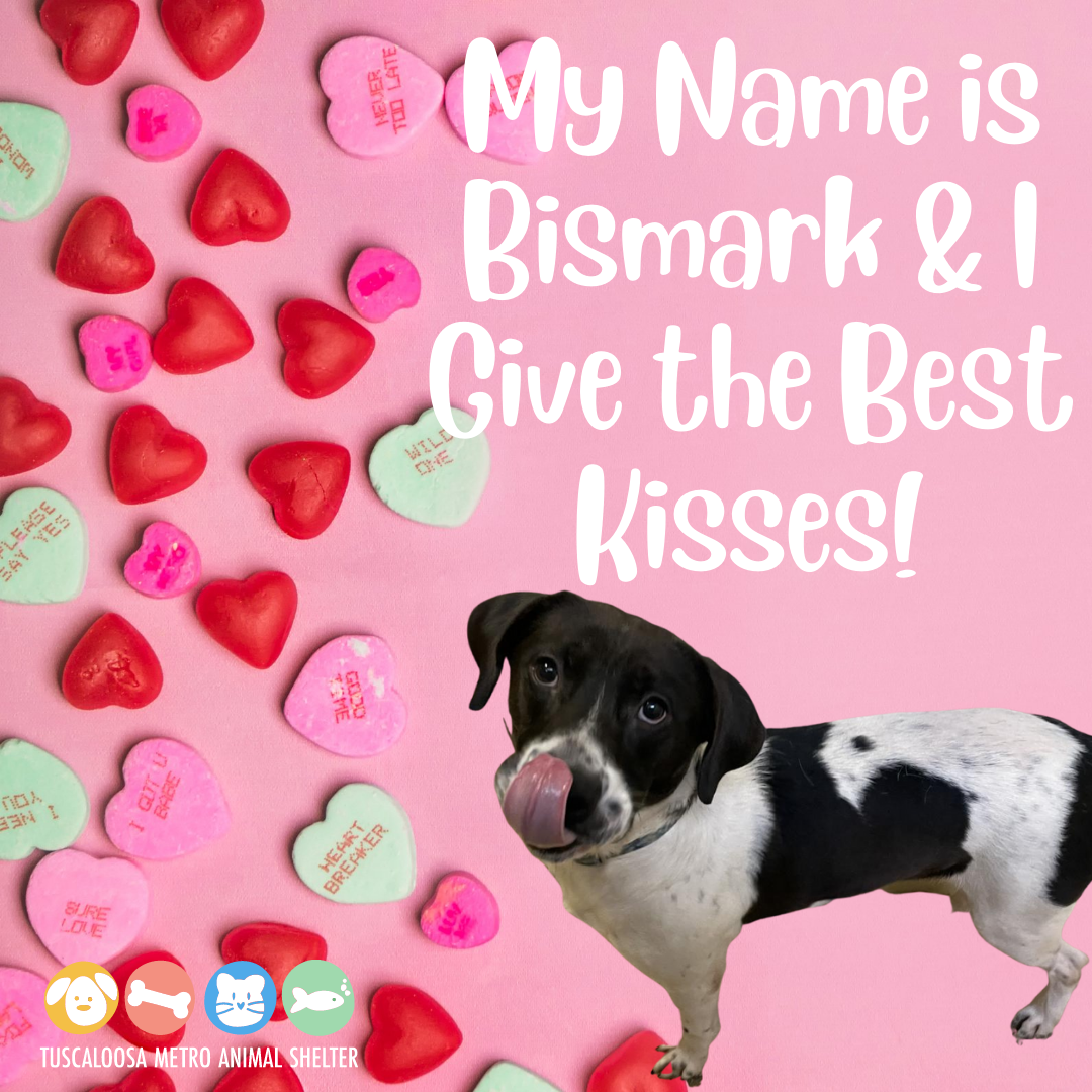 Valentine's Day eCards