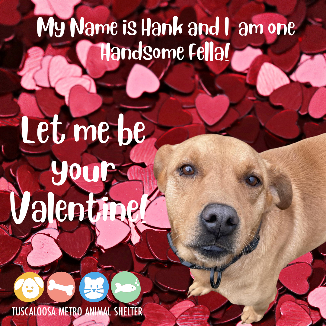Valentine's Day eCards