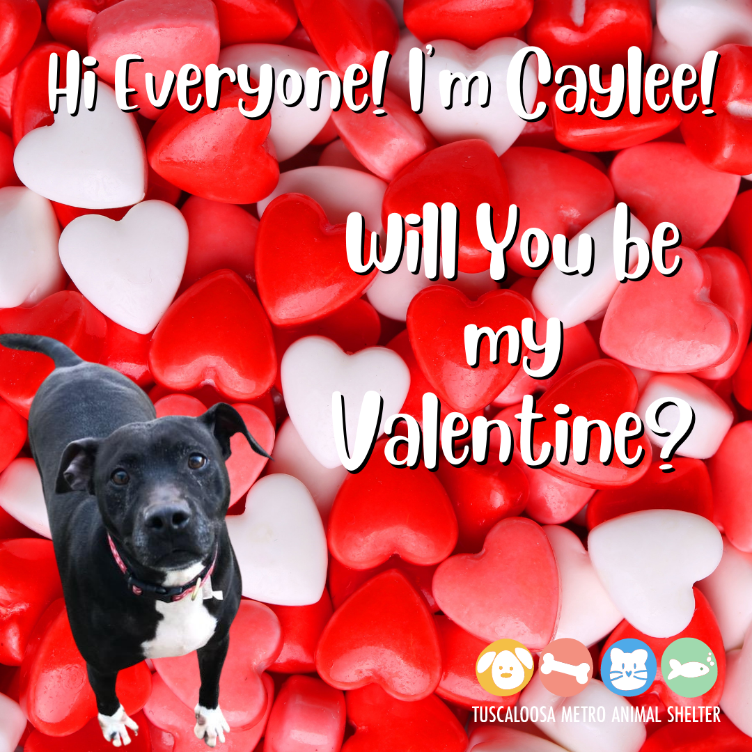 Valentine's Day eCards