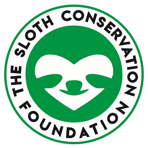 The Sloth Conservation Foundation eCards